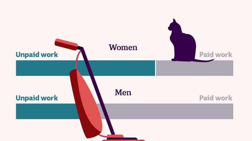 自定义图像显示一些图表，比较男性和女性的无偿劳动上面有只猫和吸尘器
